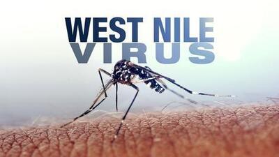 شیوع ویروس نیل غربی/علائم بیمار آلوده به ویروس نیل غربی