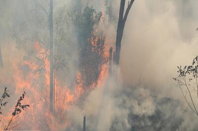 آتش‌سوزی در جنگل‌های چابکسر و آستارا