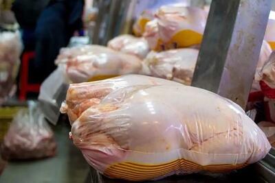 آمادگی شرکت پشتیبانی امور دام برای خرید گوشت مرغ داخلی