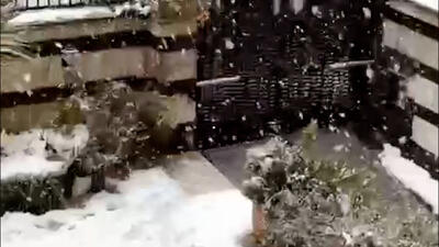 ببینید / بارش شدید برف، دیروز صبح در منطقه نیاوران تهران + فیلم