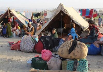 برنامه جهانی غذا: نیمی از پناهجویان اخراج شده از پاکستان به کمک فوری نیاز دارند - تسنیم