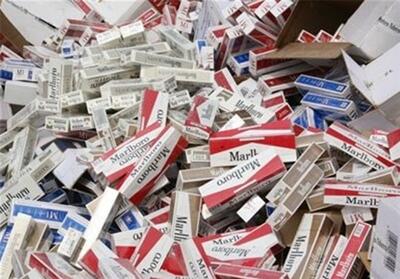 کشف 316 هزار نخ سیگار قاچاق در نور - تسنیم