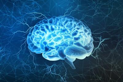دانشمندان از کشف پیوندهای مستقیم جدیدی بین مغز و محیط اطراف آن خبر می‌دهند