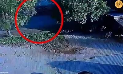 (ویدئو) لحظه اصابت پهپاد به خودروی یک فرمانده حزب‌الله