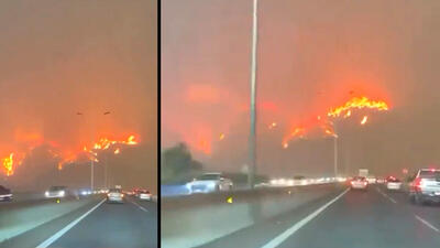 ببینید / آتش سوزی جنگل در شیلی