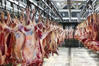 قیمت گوشت‌ وارداتی ۲۳۰ تا ۳۷۵ هزار تومان