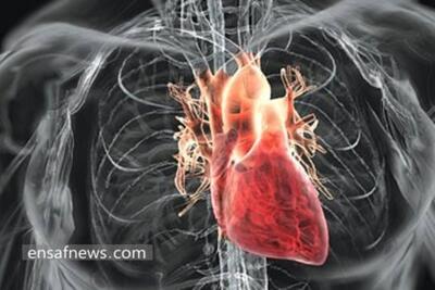 برای سلامت قلب چه نخوریم؟ | پایگاه خبری تحلیلی انصاف نیوز