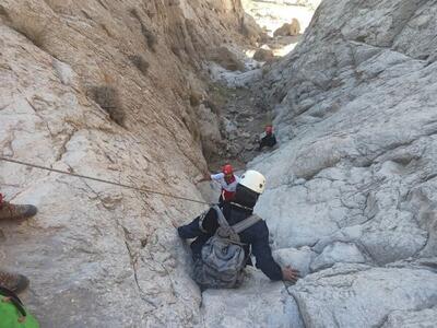 (ویدئو) نجات بُز گرفتار در ارتفاعات دلیر چالوس پس از ۲۰ روز
