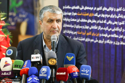 رئیس سازمان انرژی اتمی: آژانس اتمی برای ایران فقط مزاحمت دارد/ به 159 دستاورد هسته‌ای دست یافته‌ایم