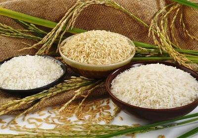 انتقاد عضو مجلس خبرگان از واردات بی‌رویه برنج/ محصول کشاورزان مازندرانی روی دست‌شان ماند - تسنیم