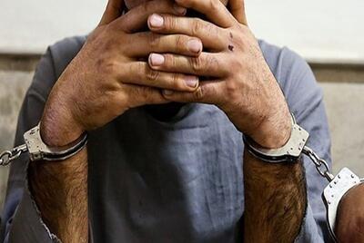 دستگیری عامل ۶ فقره سرقت در بوشهر