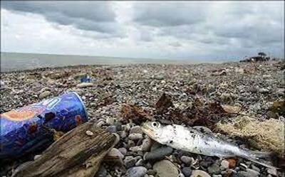 وضعیت اسفناک مدیریت زباله در جزیره‌ی هرمز