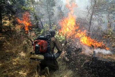 بخشی از جنگل نوشهر آتش گرفت | اقتصاد24