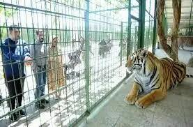 عکس از باغ وحش مشهد که شوکه تان می کند!