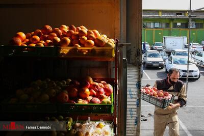 افتتاح ۲۲ بازار میوه و تره‌بار در یکصدمین پویش امید و افتخار