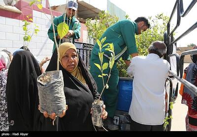 نهال رایگان در مسیر راهپیمایی 22 بهمن توزیع می‌شود - تسنیم