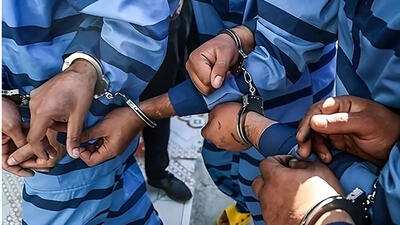3 متهم فراری حفاری غیرمجاز در دام پلیس