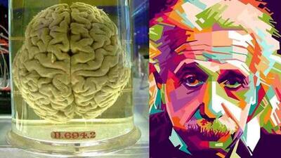 تصویری از مغز آلبرت اینشتین در شیشه