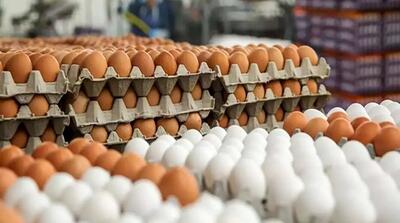 هر عدد تخم مرغ چند؟ | جدول قیمت تخم مرغ را ببینید