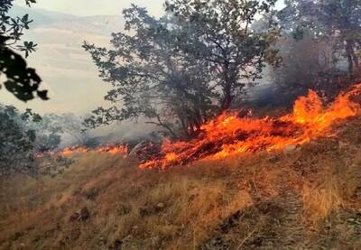 هواشناسی مازندران به وقوع آتش‌سوزی در مراتع و‌ جنگل‌ها هشدار داد