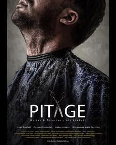 «پیتاژ» از جشنواره فیلم‌های مستقل آمریکا جایزه گرفت