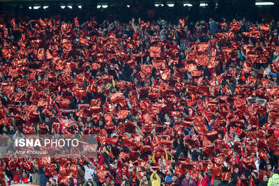 شکوری و طباطبایی عضو هیات مدیره پرسپولیس شدند