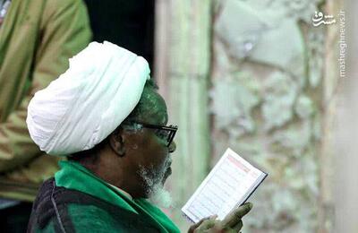 فیلم/ حضور رهبر شیعیان نیجریه در اولین شب از حسینیه معلی