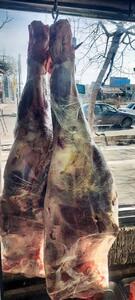 بیش از 400 کیلو گوشت گرم تاریخ گذشته در بوئین زهرا کشف و ضبط شد