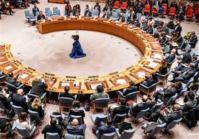 گزارش شورای امنیت سازمان ملل درباره وضعیت داعش در افغانستان - تسنیم