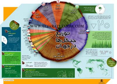 کدام کشور بیشترین جنگل را دارد؟