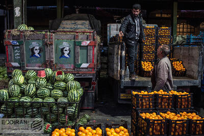 هشدار به میوه فروشان میدان تره‌بار