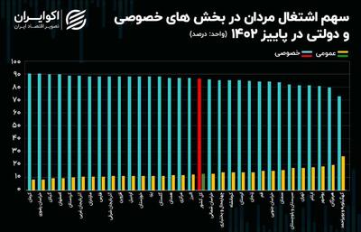 چند درصد مردان ایرانی از دولت حقوق می‌گیرند؟