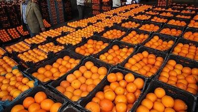 ذخیره سازی ۹۰۰ تن سیب و پرتقال برای نوروز یزدی‌ها