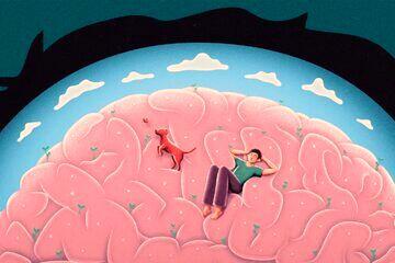 وقتی هیچ کاری انجام نمی‌دهید، مغزتان به چه کاری مشغول است؟
