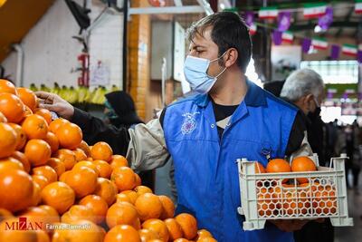 قیمت میوه شب عید باید زودتر مشخص شود