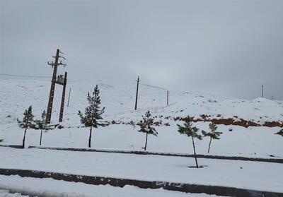 بارش برف در مناطق سردسیر و کوهستانی استان کرمانشاه- فیلم دفاتر استانی تسنیم | Tasnim