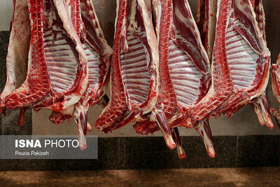 منتظر کاهش قیمت گوشت نباشید | قیمت گوشت روی کانال ۵۰۰ هزار تومان