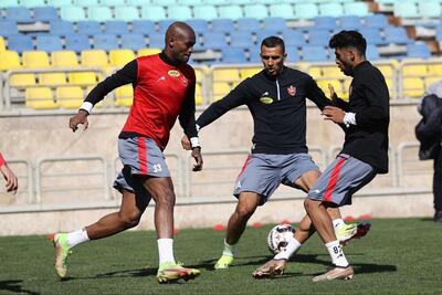 قول مدیرعامل پرسپولیس به سرمربی در مورد استفاده از بازیکنان جدید
