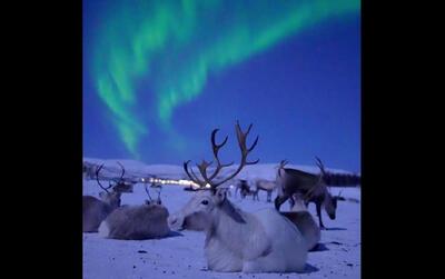 شفق قطبی رویایی در آسمان نروژ (فیلم)