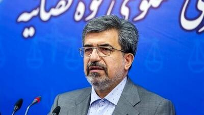 سخنگوی قوه قضائیه با اشاره به روند بررسی پرونده بابک زنجانی: ما به اعدام و حبس کسی راضی نیستیم