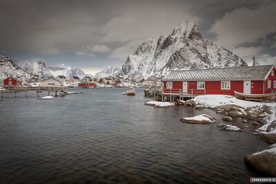تصاویری زیبا از بندر جزایر لوفوتن نروژ | رویداد24