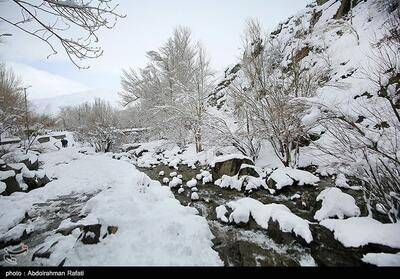 تداوم بارندگی در استان سمنان؛ احتمال کولاک برف برای ارتفاعات و نقاط سردسیر - تسنیم