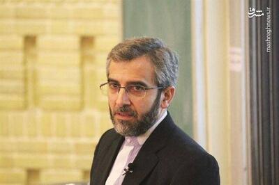 باقری‌کنی : تحکیم اعتماد متقابل سیاسی از الزامات سیاست همسایگی ایران است