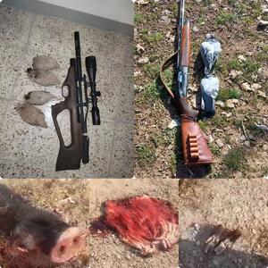 دستگیری 4 گروه متخلف شکار در مناطق آزاد و حفاظت شده شهرستان گچساران