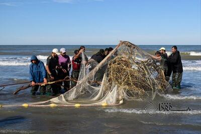گزارش تصویری: تورهای پاره، سهم صیادان از ماهیگیری | پایگاه خبری تحلیلی انصاف نیوز