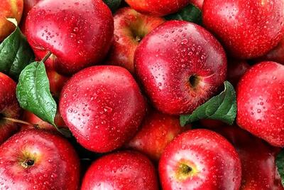 سیب را این گونه نگهداری کنید برای مدت طولانی سالم می ماند!