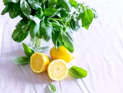 فواید لیمو برای سلامتی انسان