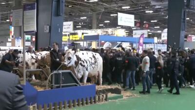ویدیوها. هجوم مزرعه‌داران خشمگین فرانسوی به سالن نمایشگاه کشاورزی پاریس پیش از بازدید امانوئل ماکرون