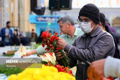 تصاویر: گل آرایی مسجد مقدس جمکران در آستانه نیمه شعبان