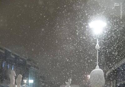 فیلم/ بارش برفِ شبانه در اردبیل
